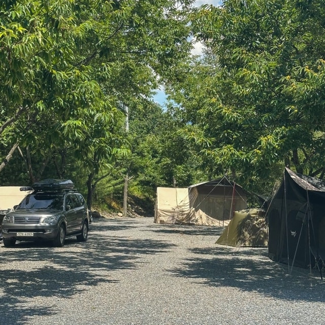 밤골야영장 대표 사진