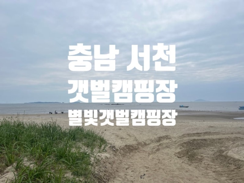 충남 서천 캠핑장 추천 갯벌 캠핑장 ｜별빛갯벌캠핑장