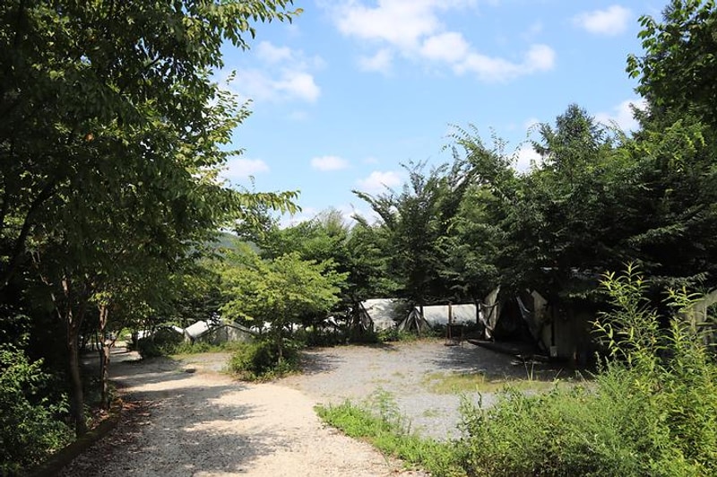 양평꿈의글램핑 대표 사진