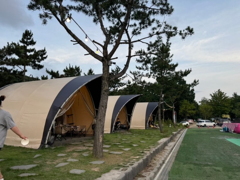 시흥 캠핑_판타스틱 캠프닉 내돈내산 방문후기 / 5살 아이랑...