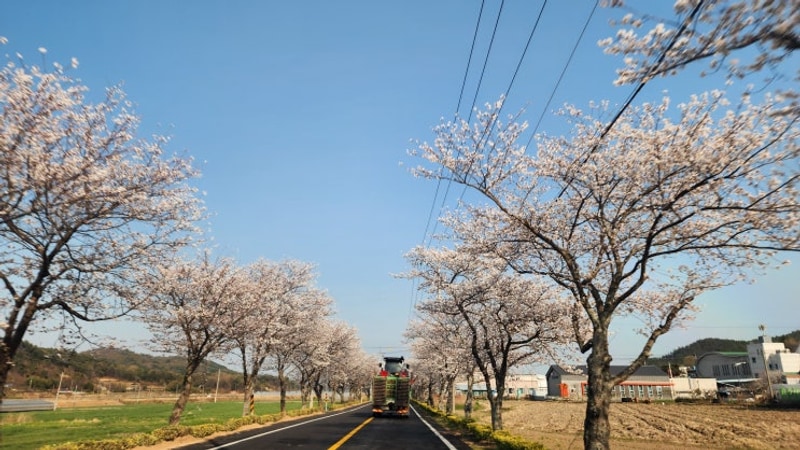 보성. 디노글램핑