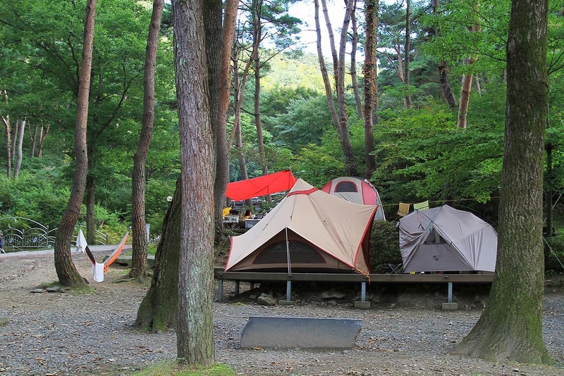 만수산 자연휴양림 시설 사진 5