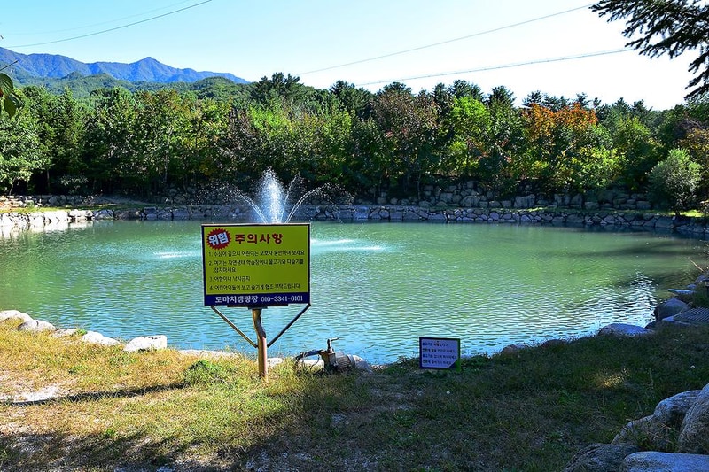 도마치캠핑장 시설 사진 7