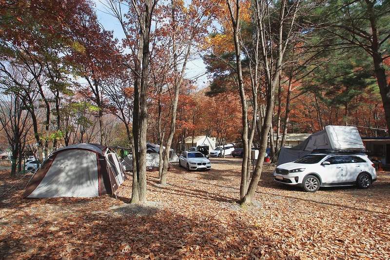 참나무숲 오토캠핑장 시설 사진 12