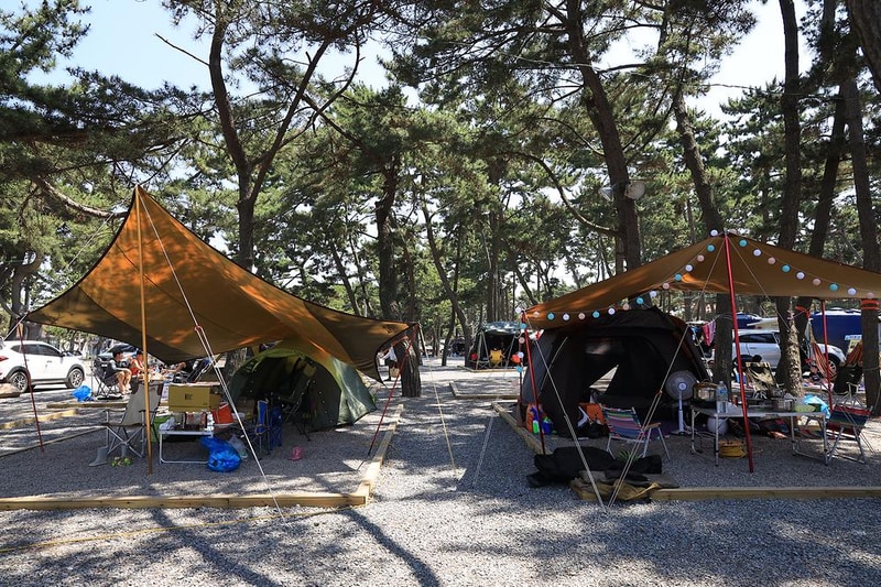 몽산포오토캠핑장 시설 사진 6