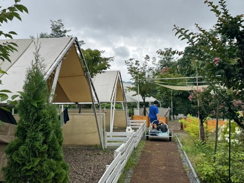 가평 애견동반 계곡캠핑 나아정캠핑장 타프존 7번 사이트 후기