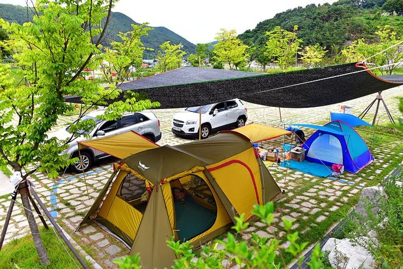 대장경오토캠핑장 대표 사진