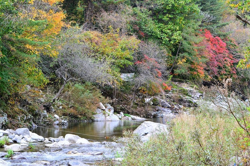 자우림캠핑장 시설 사진 5