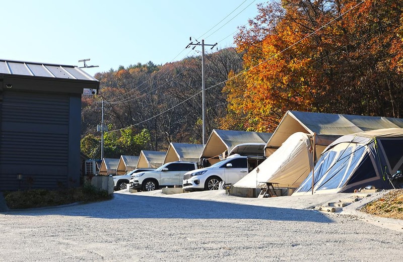숲속의쉼터 키즈 시설 사진 3