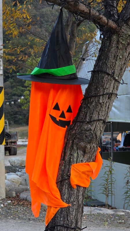 성주 애플 캠핑장, 통펜션