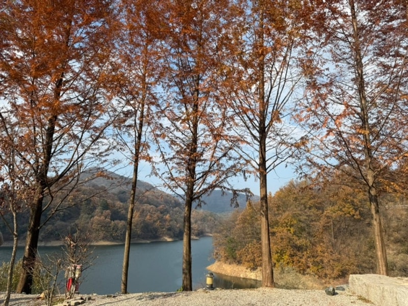 ️충주카누캠핑장 | 충주호 뷰가 미쳤어요~ 새로 구매한 코베아...