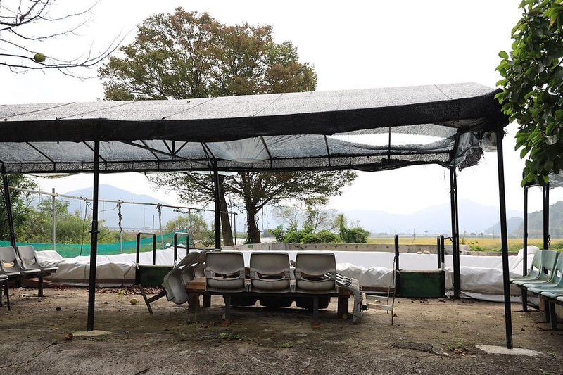 소망캠핑장 시설 사진 11