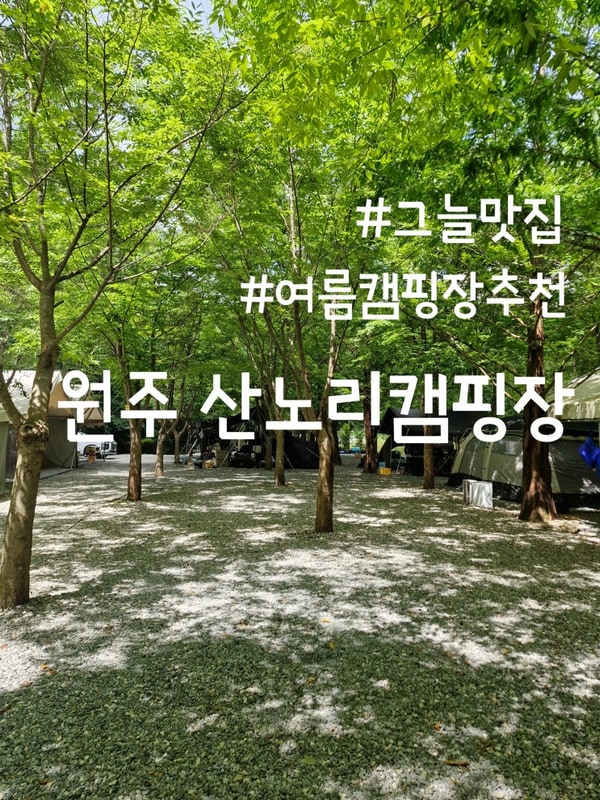 [원주 캠핑장] 시원한 계곡 그늘이 풍부한 곳 원주 산노리 캠핑장