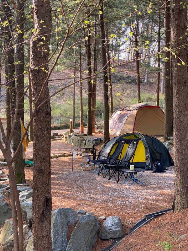 [캠핑기록10] 2025 포천 추동캠프(ft.미니멀캠핑)