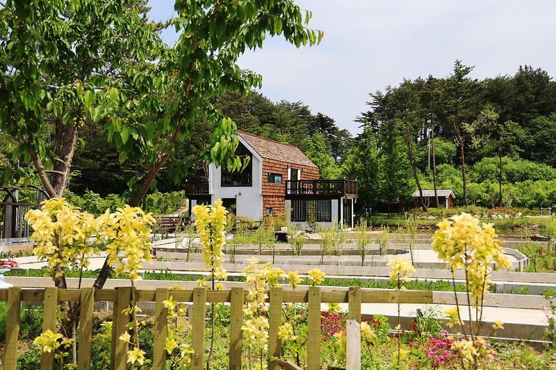 스테이NAMU(스테이나무) 시설 사진 10