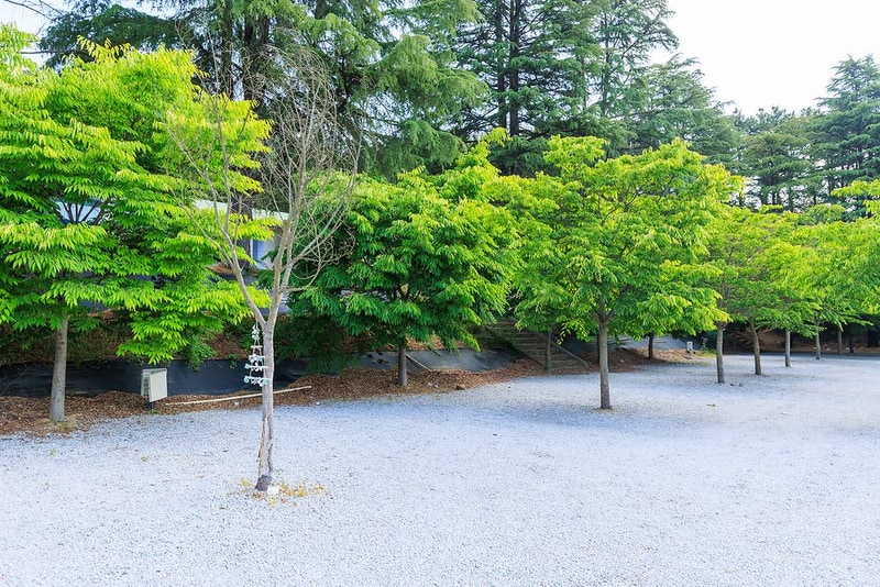 백제캠핑장 시설 사진 2