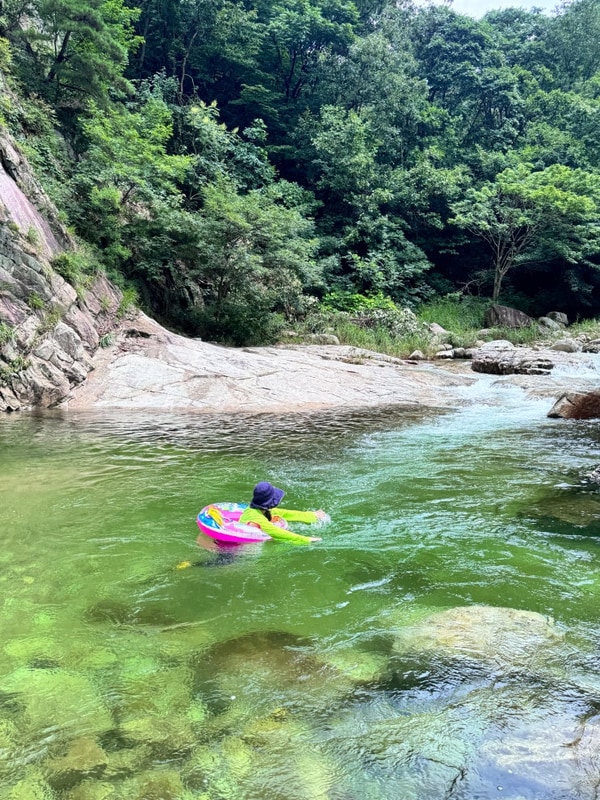 경기도 깊은 계곡 포천 도마치 계곡 도마치자연그대로 캠핑장...