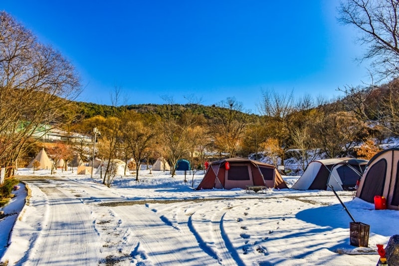 경기도 파주 율곡캠핑장 서울 근교 겨울 장박 계곡 캠핑