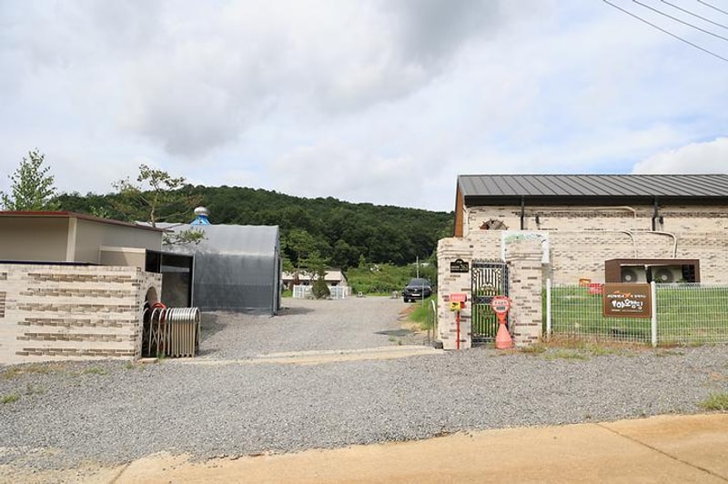 야호캠핑장 대표 사진