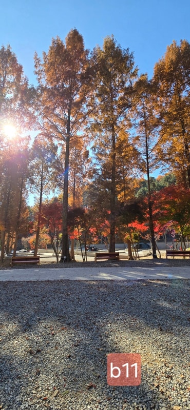 신상 캠핑장 캠프 네버랜드. 사이트 뷰 소개