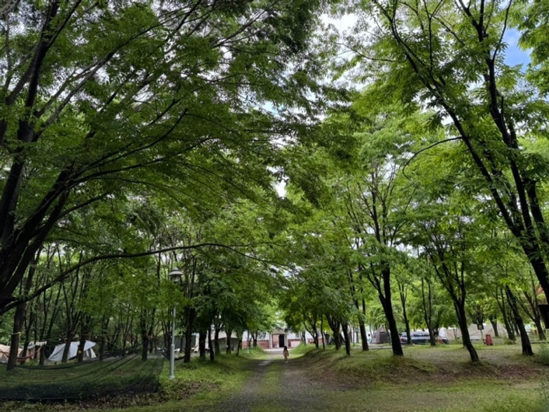 담양) 메타파크캠핑 카라반캠핑장