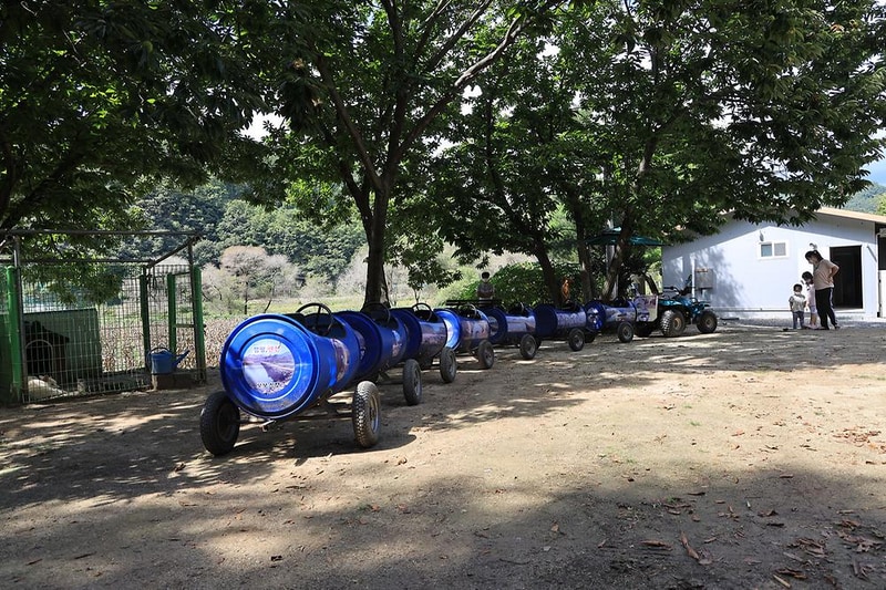 다 그린 시설 사진 14