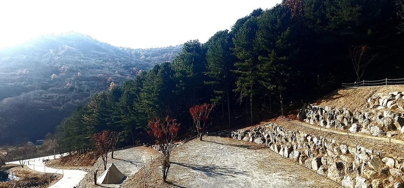 구릉지캠핑장 시설 사진 6