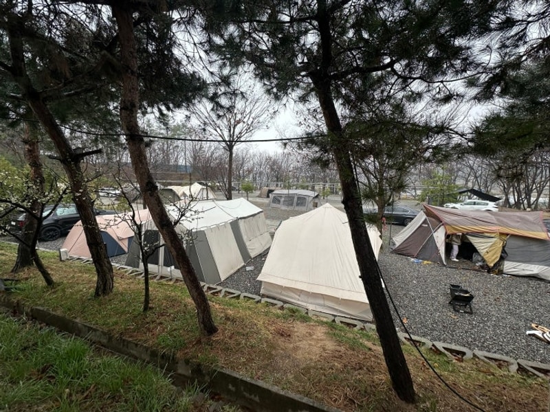 [경기 용인] 용인밤골캠핑장에서 25년 첫 캠핑 스타트(우중캠)