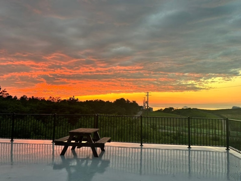 태안 신두리 오렌지 캠핑장 후기 | 아기랑 가족 캠핑 추천