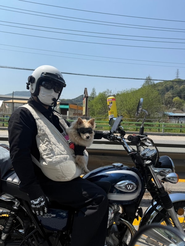 슈퍼커브 W800 기타 등등 바이커들의 모임 가평 제이캠핑장