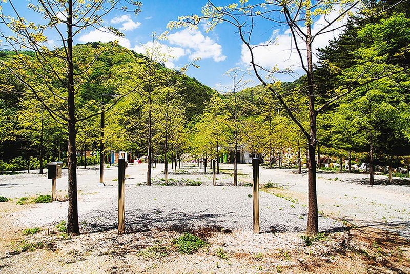 진동리 국민여가캠핑장 by zapza 시설 사진 4