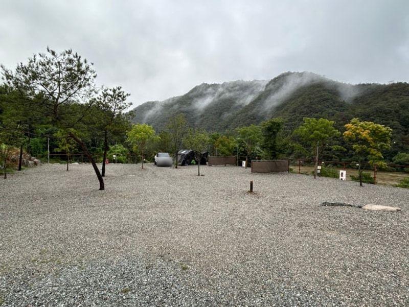 홍천 도담캠핑장/ 홍천강 뷰 D4 사이트 이용 후기