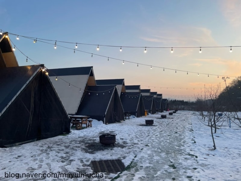 포천 [아르테미스 글램핑] 갔던 글램핑 중 제일 깔끔한 글램핑장...