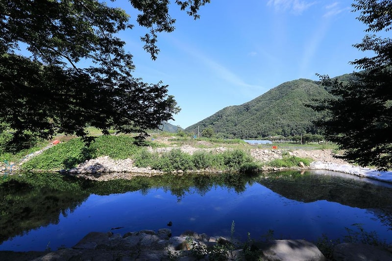 패밀리오토캠핑장(한국전통문화체험학교) 시설 사진 2