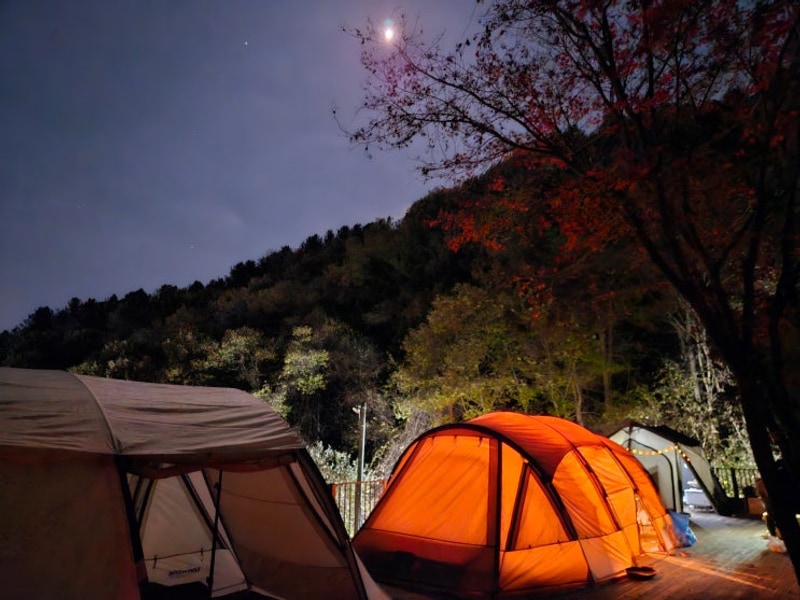 강원도 홍천 예담숲 캠핑장 — 단풍 속 가족캠핑 후기