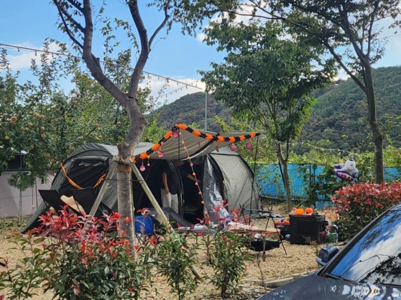 포항 경주 캠핑장 경안글로브 할로윈캠핑 NA4