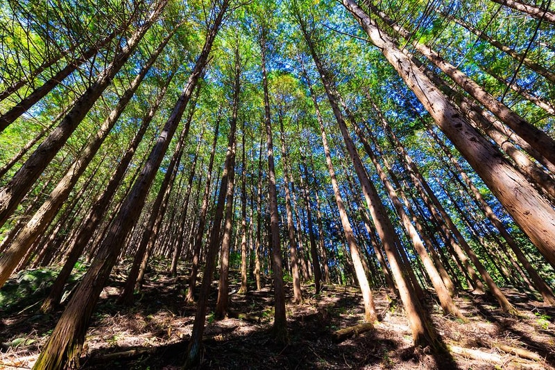 마실야영장 시설 사진 5