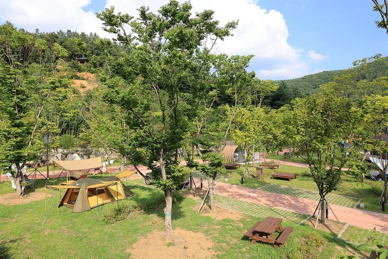 홍천강 자라바위 오토캠핑장 시설 사진 15