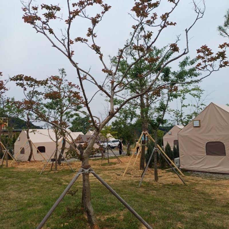 전주 김제 대율담 캠핑장 대율저수지 오토캠핑장 후기