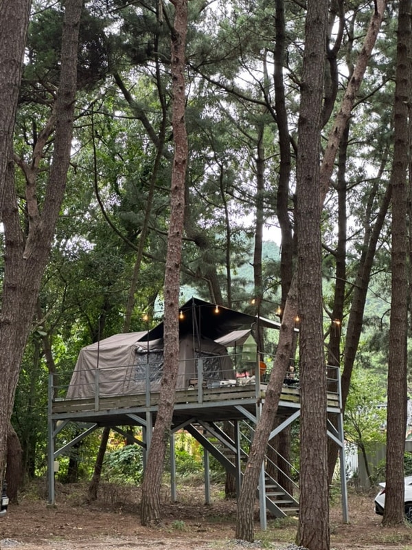 [태안] 청산리 오토캠핑장 루프탑존