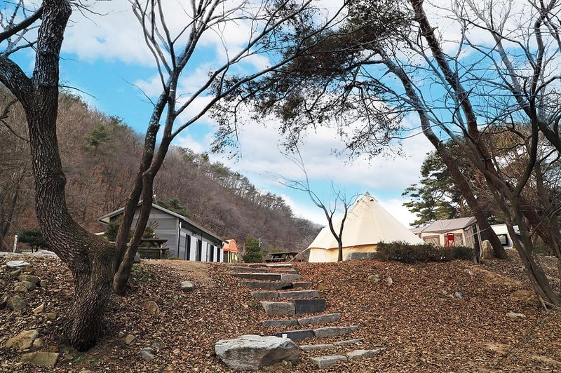 진밭골향기관광농원 야영장 시설 사진 13