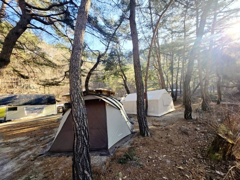 [#85]경기도 양주 캠핑장 금물산 하늘소 캠프 초대캠핑...