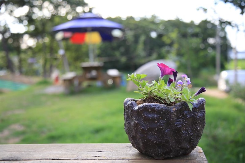 석모도 부자캠핑 시설 사진 23