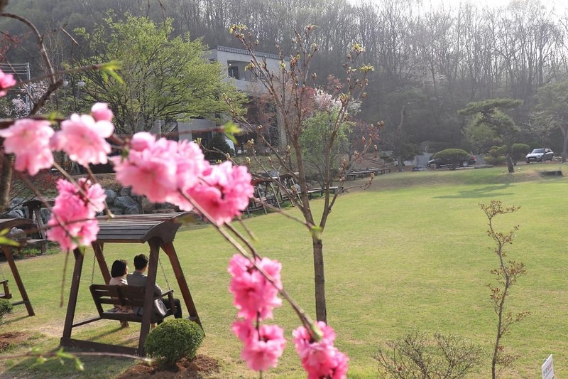 다온숲 시설 사진 15