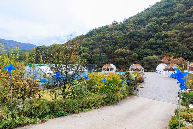 GO(지오)글램핑 시설 사진 13