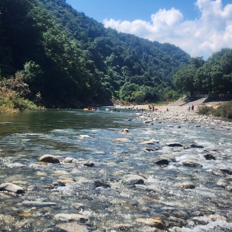 [가족캠핑] 가평 화랑캠핑장