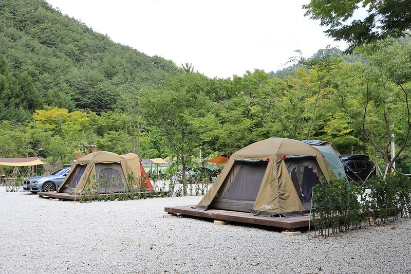 봉화솔향가득서울캠핑장 시설 사진 28