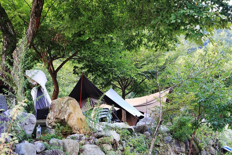 담터 금학캠핑장 시설 사진 7