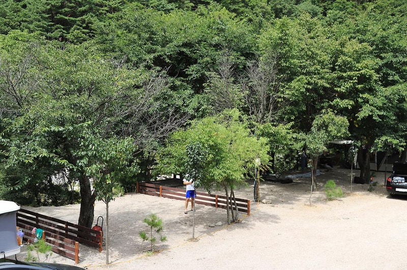반디하우스캠핑장 시설 사진 8