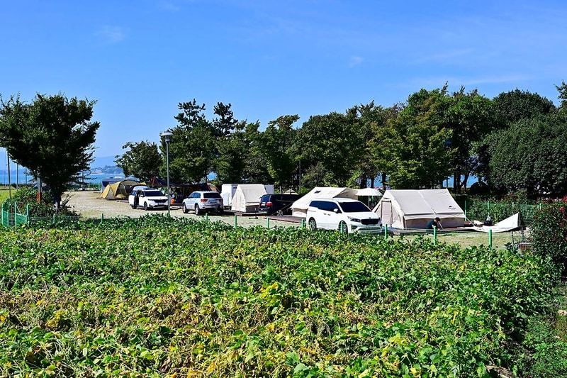 거북선마을 캠핑장 시설 사진 10